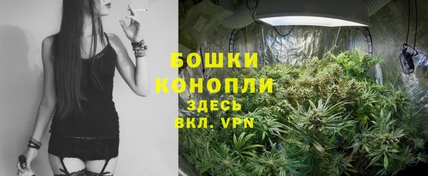 PSILOCYBIN Михайловка